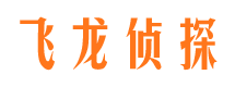 宝应侦探公司